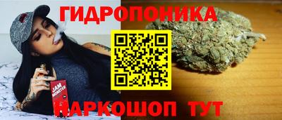 spice Нальчик