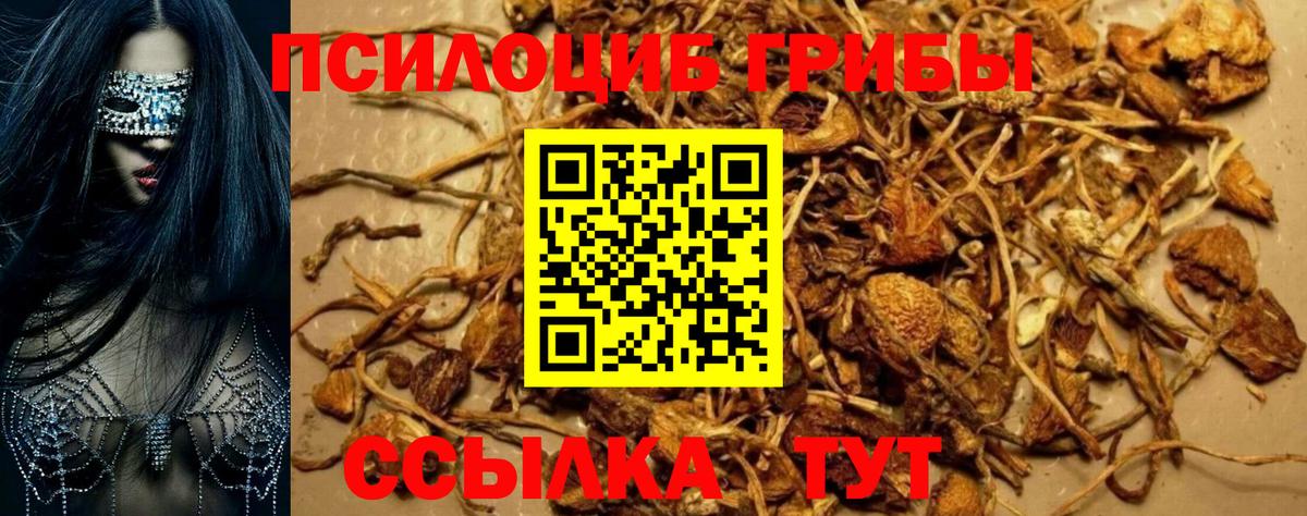 Галлюциногенные грибы ЛСД Рузаевка