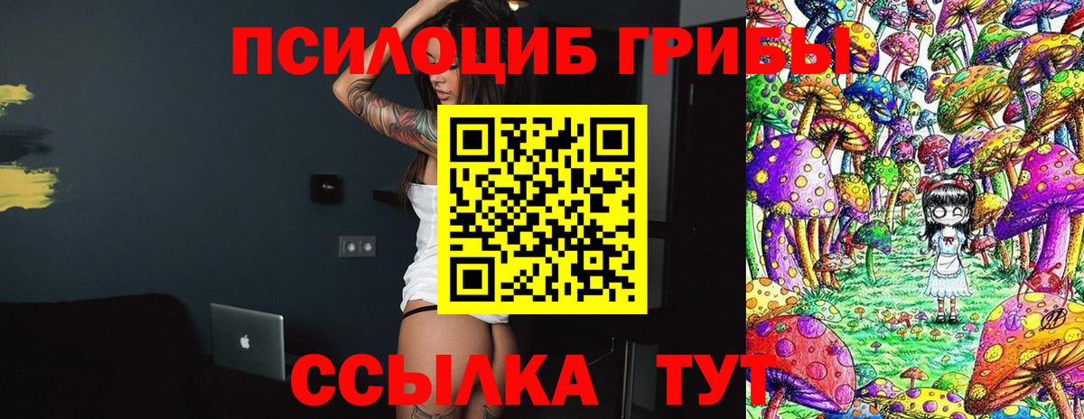 Псилоцибиновые грибы мицелий  Вход с VPN  Рузаевка  Псилоцибиновые грибы Psilocybine cubensis 